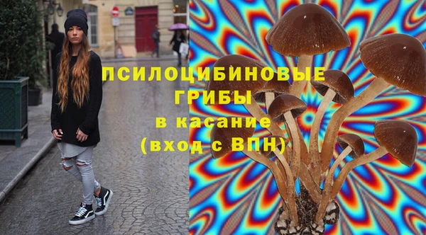а пвп мука Абаза
