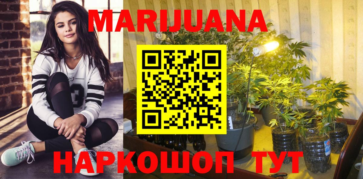 Каннабис Bruce Banner Тутаев